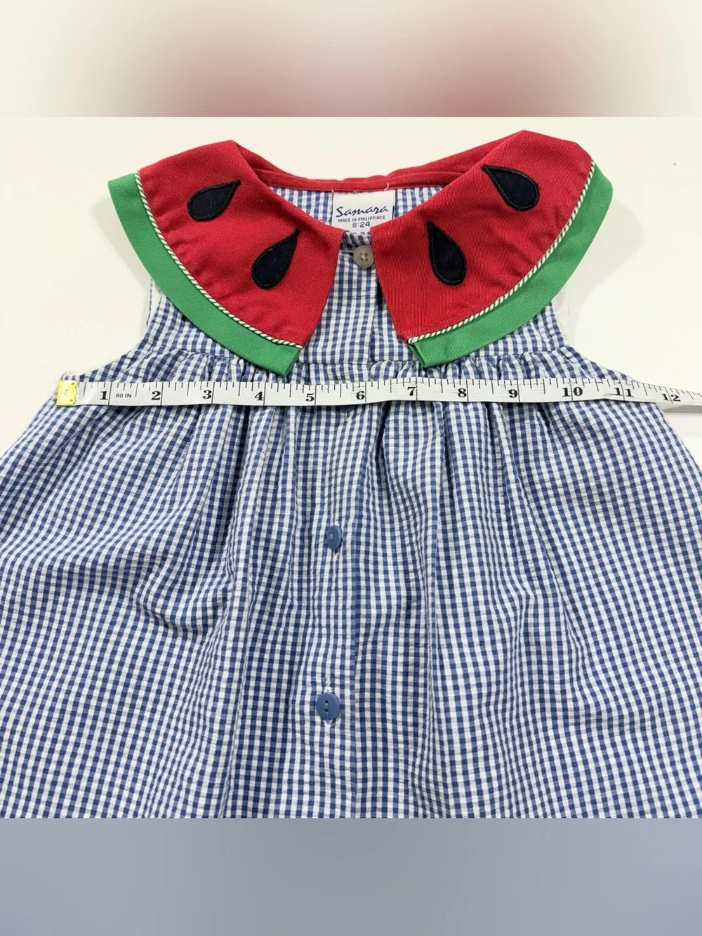 Vintage Samara Watermelon Collar Blue Gingham Dress 24M 90s